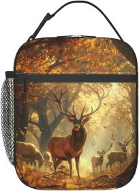 Insulated Lunch Box for Women Men